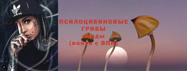 apvp Абаза