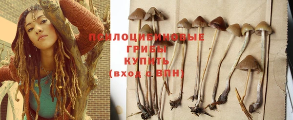 apvp Абаза