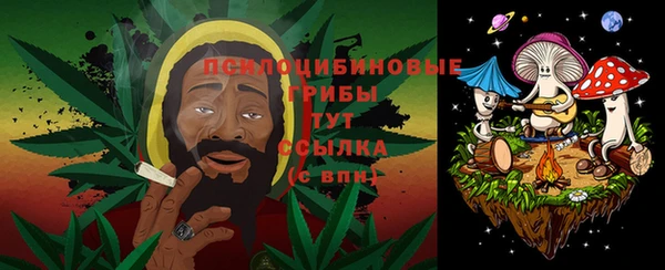 apvp Абаза