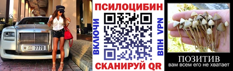 купить наркоту  Чита  Псилоцибиновые грибы ЛСД 